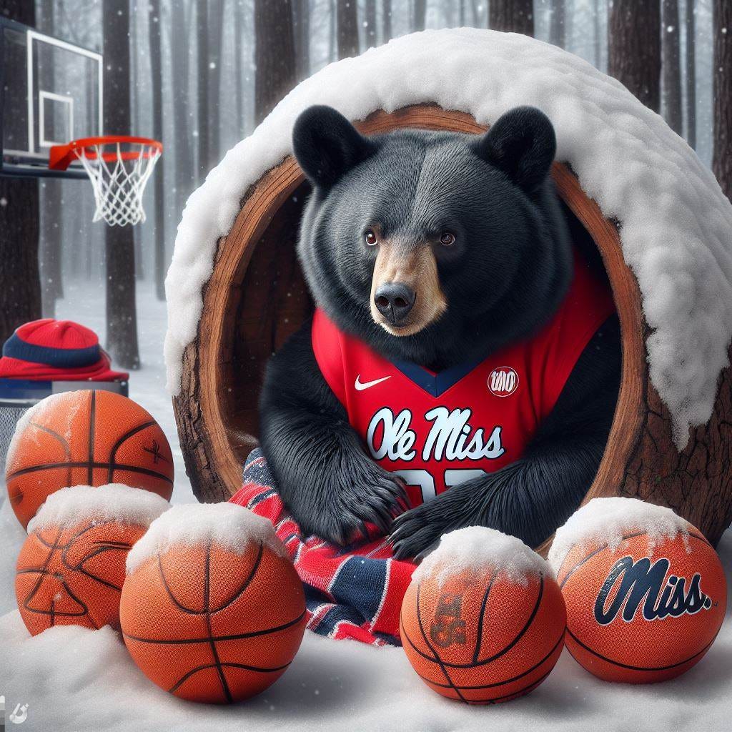 A black bear with an Ole Miss jersey on preparing for winter hibernation, surrounded by basketballs