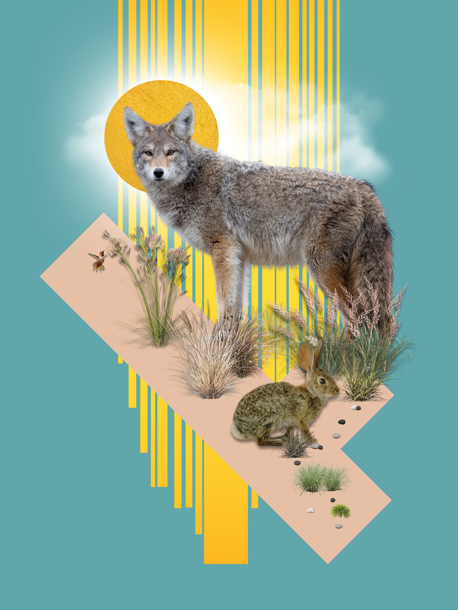 Coyote by Marianne Tierney (digital art).