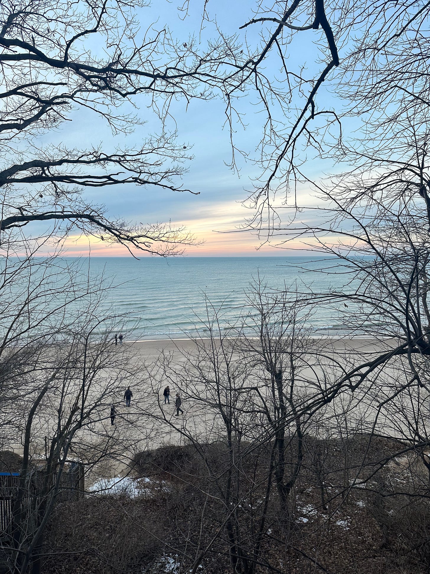 Strangers standing on the beach of Lake Michigan, seen through tree branches.