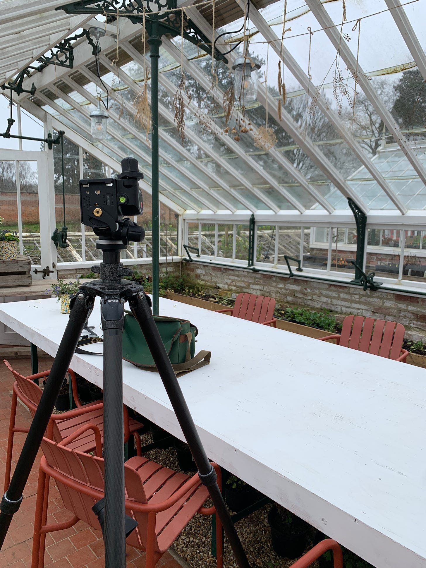 A camera and tripod in a greenhouse