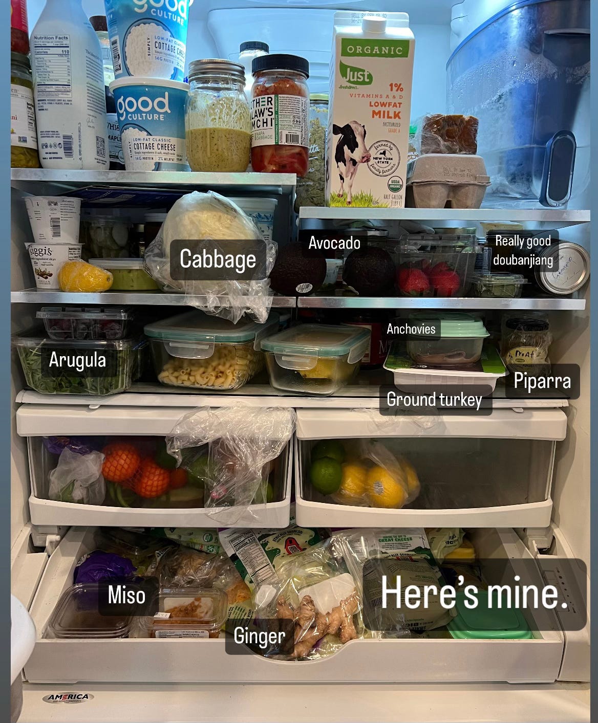 fridge packed with cottage cheese, ginger, miso, ground turkey