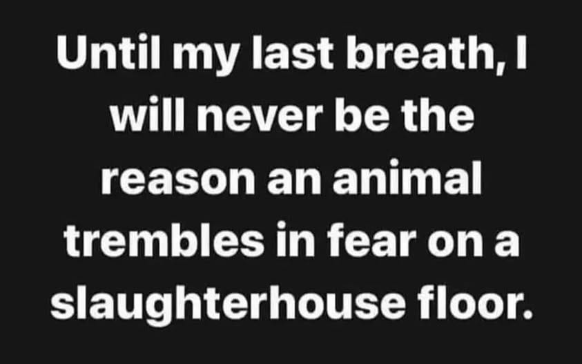 "Every choice I make is a reflection of my values. I choose compassion over cruelty, justice over convenience, and love over indifference. Until my last breath, I will stand for a world where no being trembles in fear because of me."