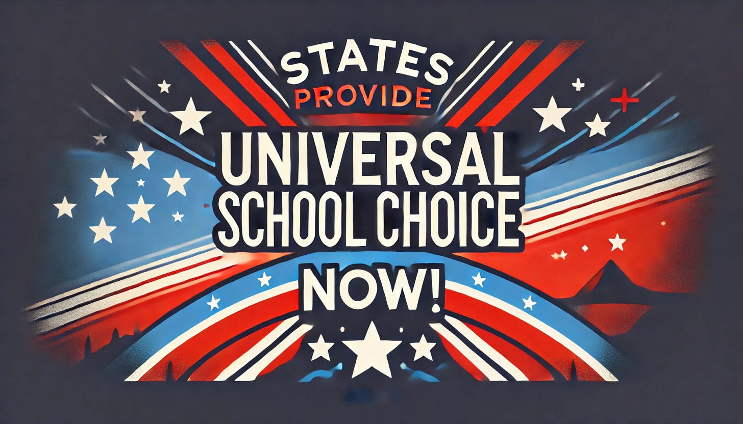 Create a minimalist landscape graphic with the title 'States Provide Universal School Choice Now!' in bold, clean typography, stated only once. Use a red, white, and blue color scheme with a state-focused patriotic theme, incorporating subtle elements like stars, stripes, or abstract shapes to emphasize urgency and state-level focus. Avoid any national flag imagery. Ensure the design is professional, uncluttered, and visually striking.