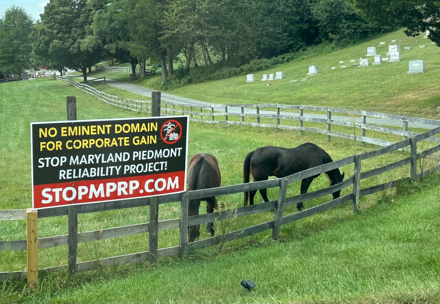 A group of horses in a fenced in field

Description automatically generated