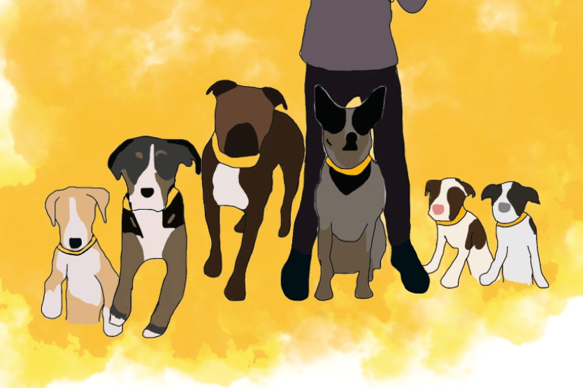 An illustration of all our foster dogs in 2022 sitting alongside our resident blue heeler