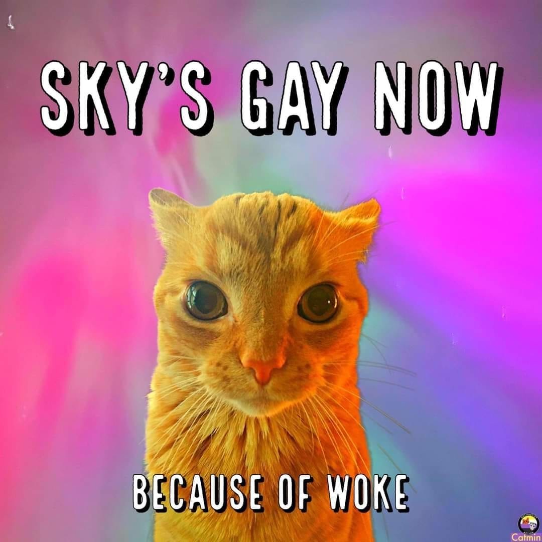 orange cat looking at the camera photoshopped onto a photo of the auroras from this week

Text: 
SKY'S GAY NOW
BECAUSE OF WOKE