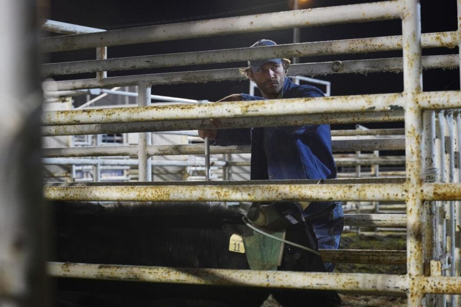 Walker as Duke on rodeo bull circuit 105