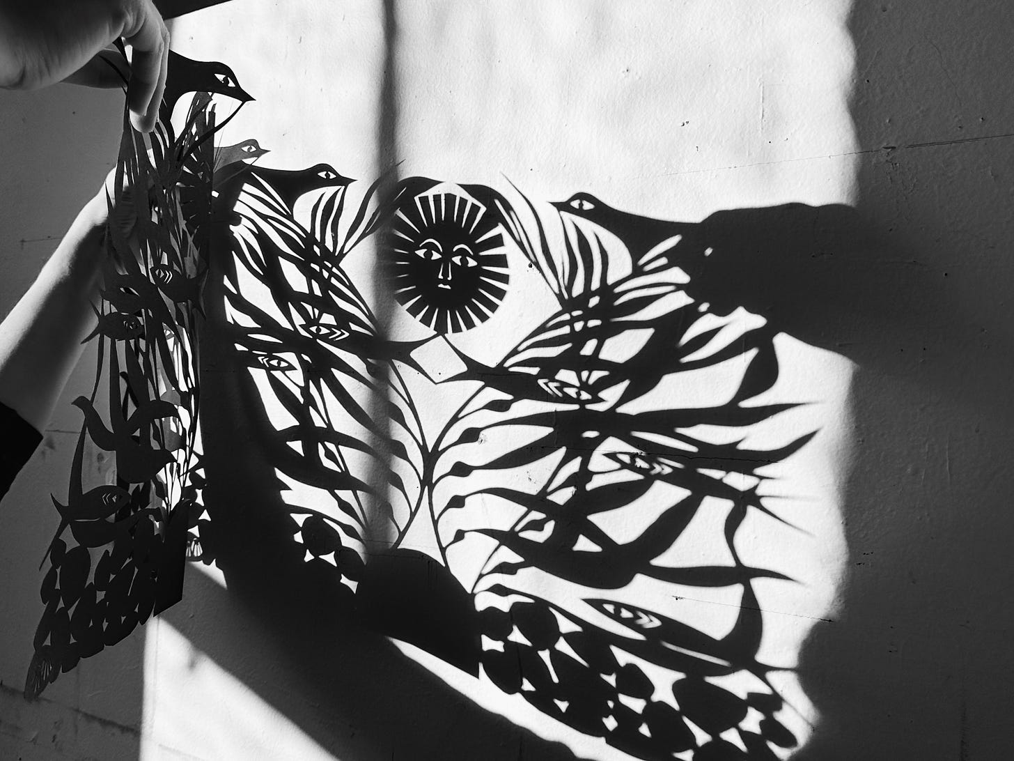 Beautiful reflection of a papercut piece of work against a wall with sunlight coming through