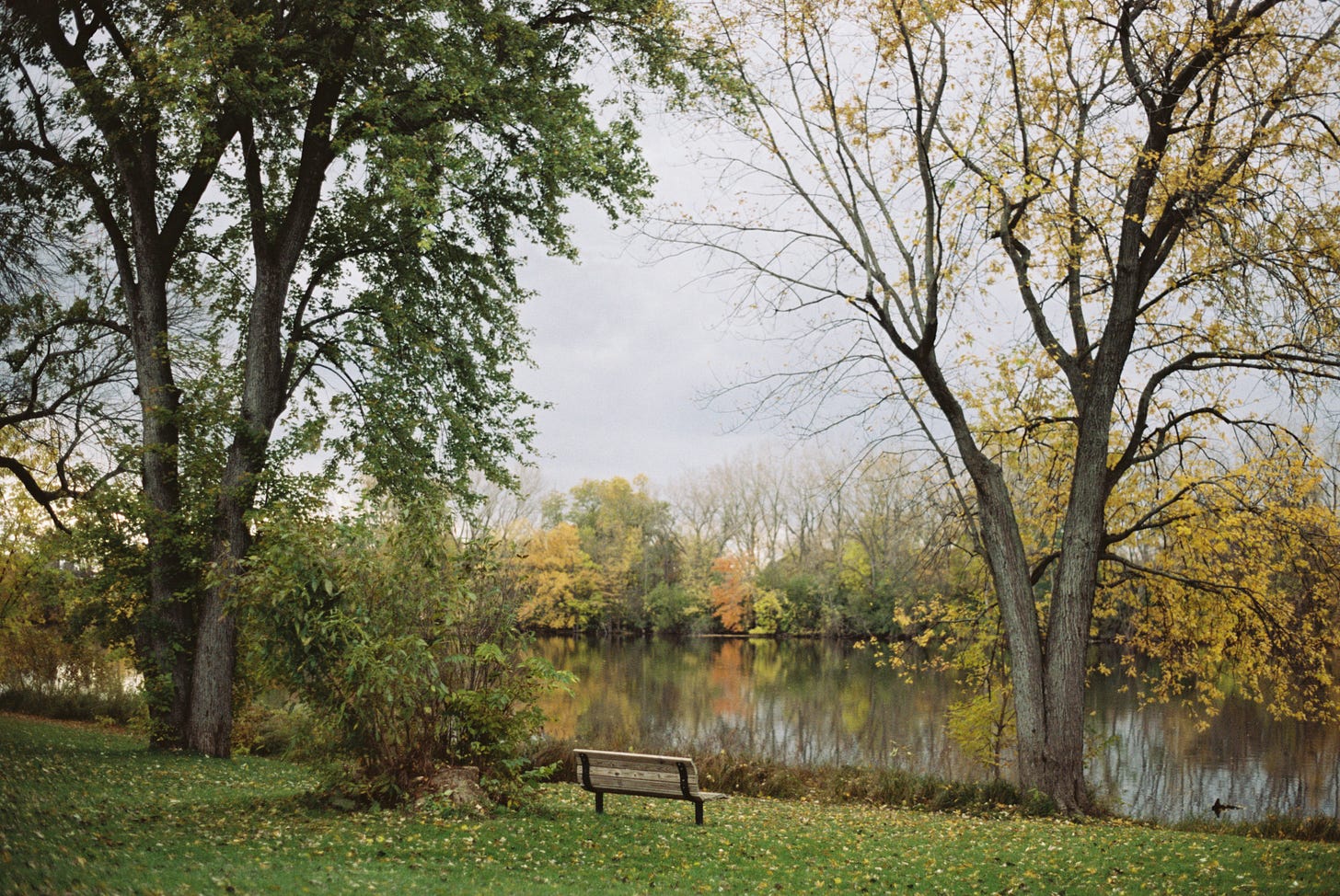 Photograph of an empty bench facing a river. It is framed by a tree on either side, and across the river there are dozens more, bare or in fall colors. The orange and yellow leaves reflect on the face of the water.