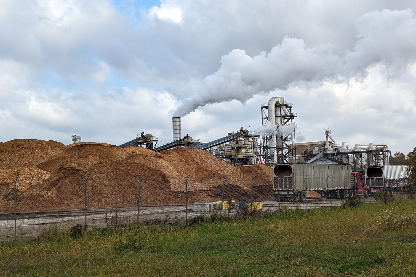 Small mountains of forest wood, chipped from whole trees and loaded into tractor-trailers for delivery, are piled up outside the Enviva wood pellet mill in Ahoskie, North Carolina. 