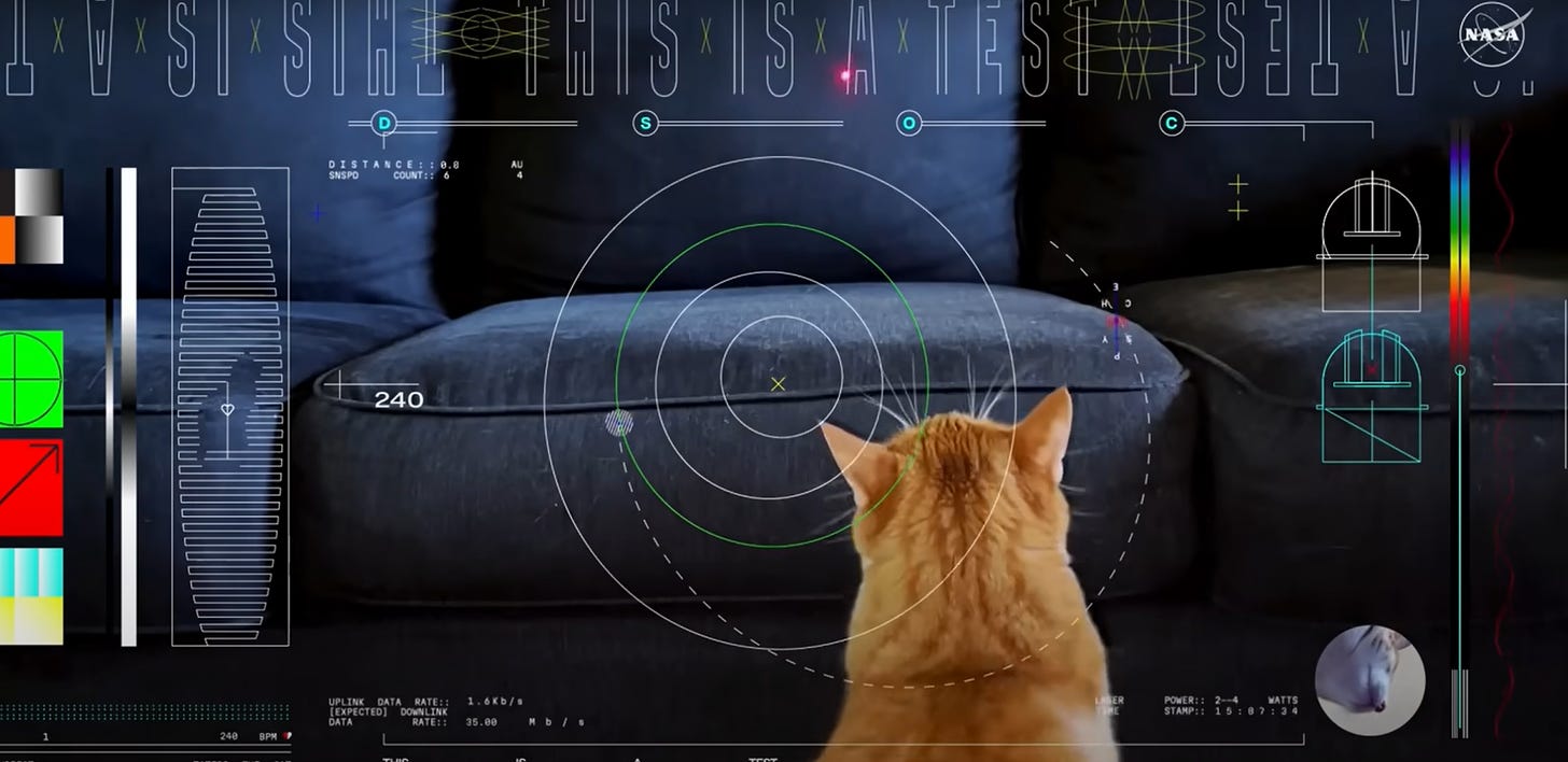 A Cat from Space: NASA Unveils Laser-Sharp Communication | by Saptashwa  Bhattacharyya | Predict | Dec, 2023 | Medium