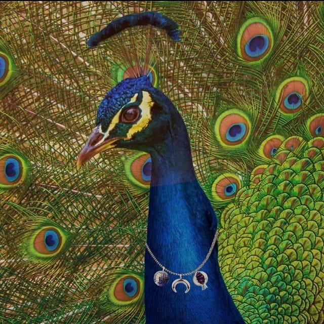 a peacock with tail feathers spread wearing a necklace with a disco ball moon and pomegranate on it