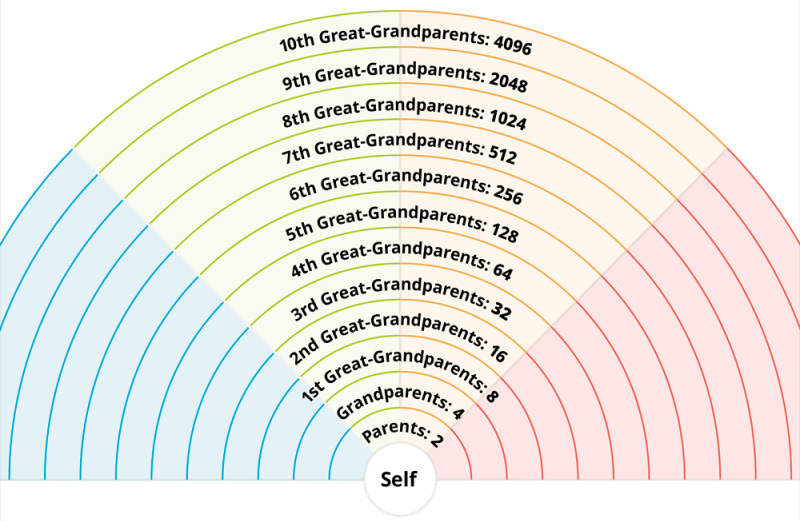 how-many-ancestors-graphic