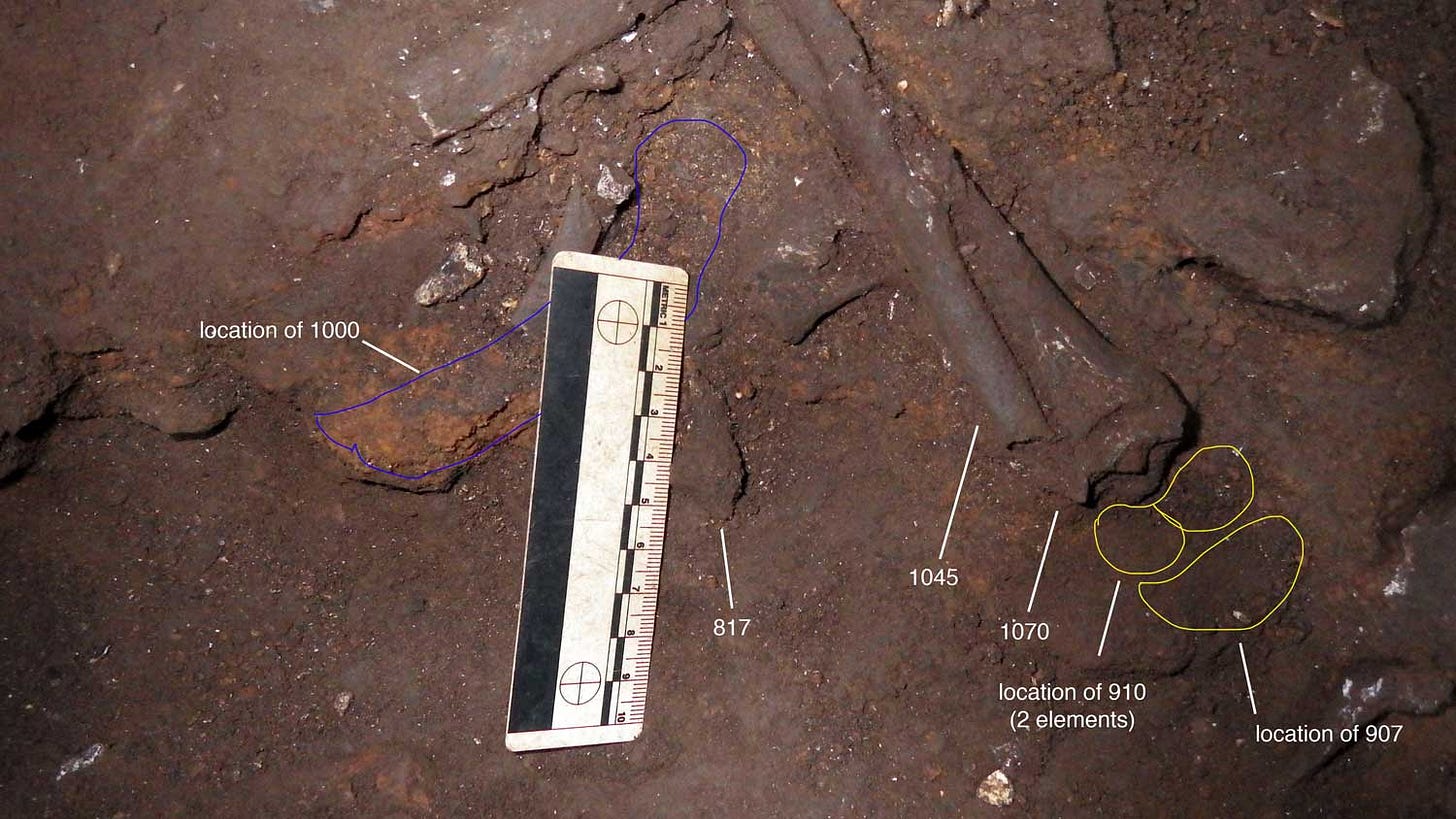 Photo showing bones of DH7 in situ in Dinaledi Chamber excavation
