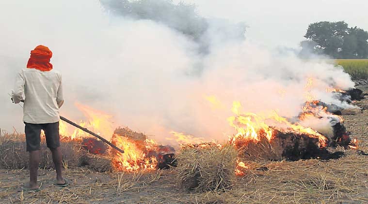 Stubble burning doubles Delhi pollution: Harvard study | India News - The  Indian Express