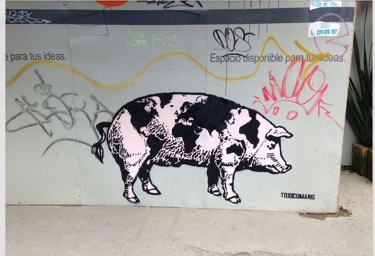 toxicomano pig