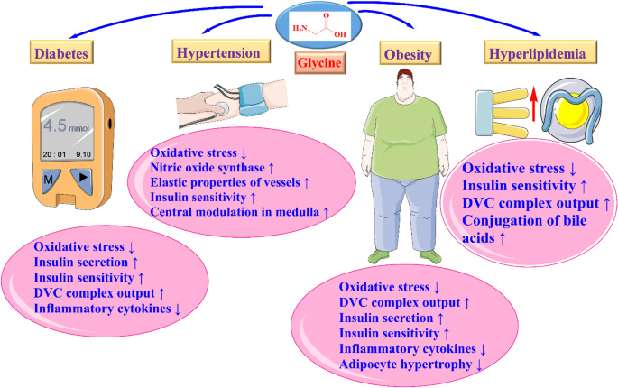 Effects of glycine on metabolic syndrome components: a review | Journal of  Endocrinological Investigation