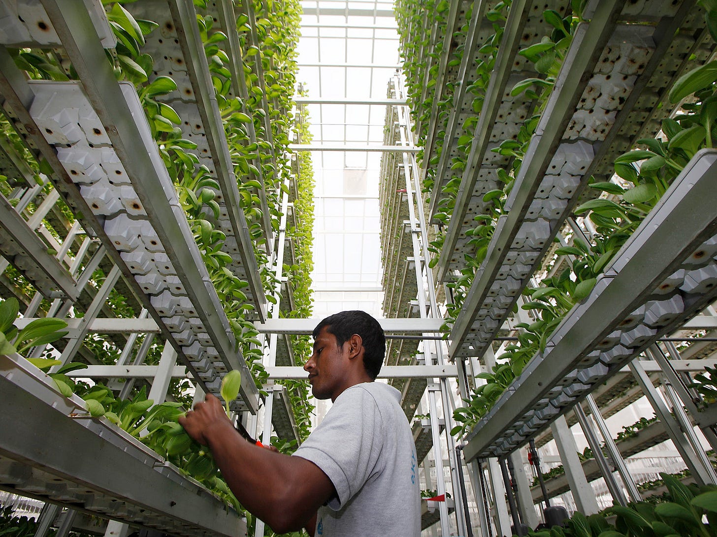 Why vertical farming isn't a miracle solution to food security | The  Independent | The Independent