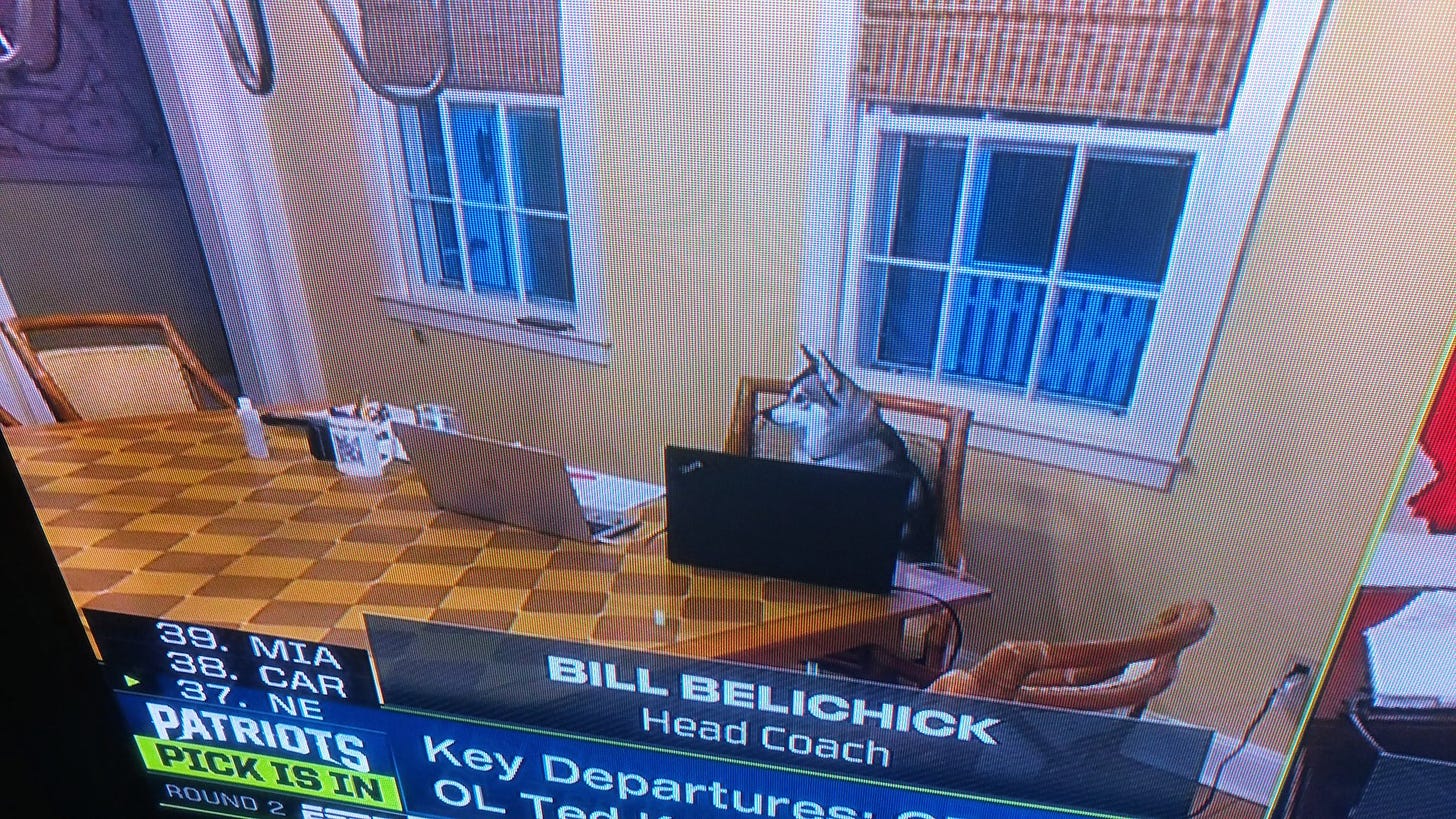 Levan Reid on X: "Here we go and this is totally a Bill Belichick move. He  picks a division 2 player and he has a canine sitting the the chair when  they