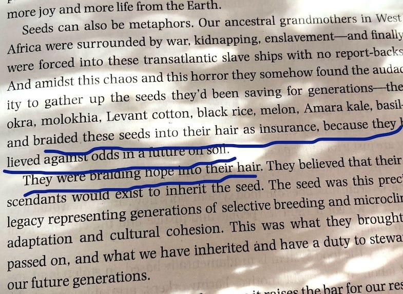 sun-dappled page of a book. the writing is about women from west africa who braided seeds into their hair to preserve them in case they were sold into slavery. underlined text says "they were braiding hope into their hair."