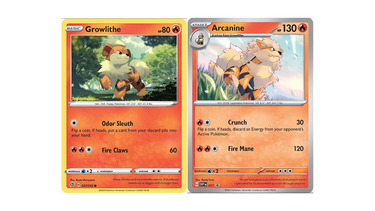 Two Pokemon cards. On the left, a Growlithe (an orange and cream puppy with tiger stripes). Arcanine on the right, larger version of Growlithe with the same coloring.