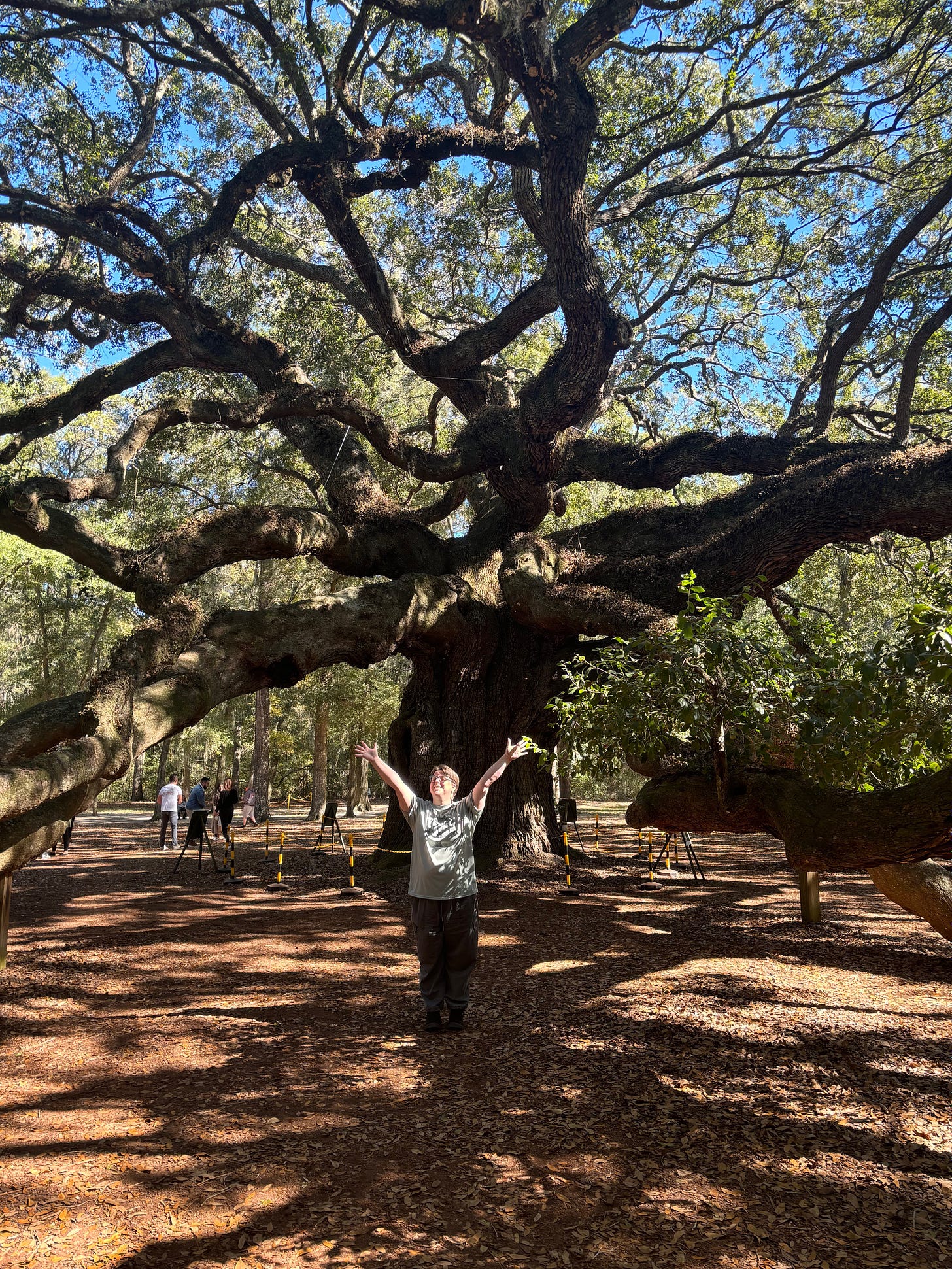 Fantastically large live oak with massive branches. I stand in the foreground in a pale green shirt with pale hands raised and a joyful upraised face.