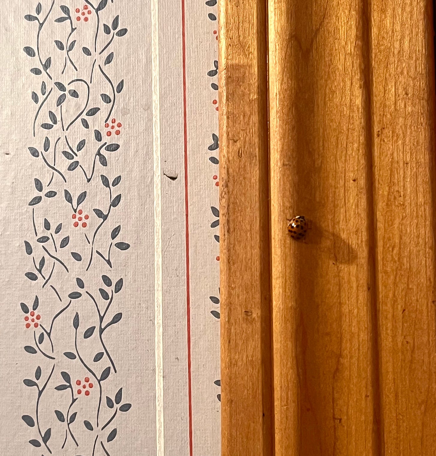 The frame is split in half: the left, floral wallpaper, to the right, wood (a windowframe). And about halfway up the wood, an orange-red ladybug is visible. 