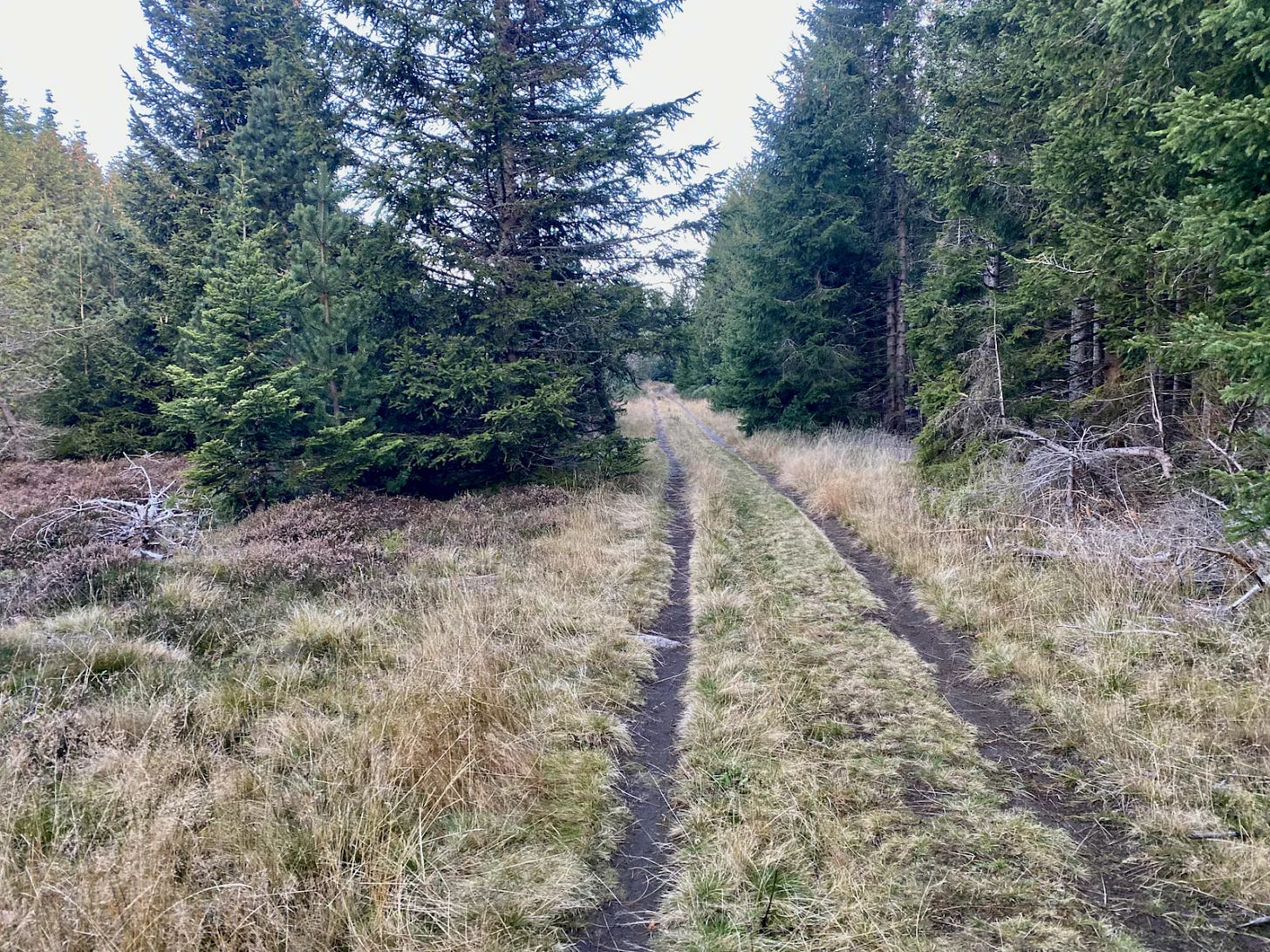 Au réveil Au réveil