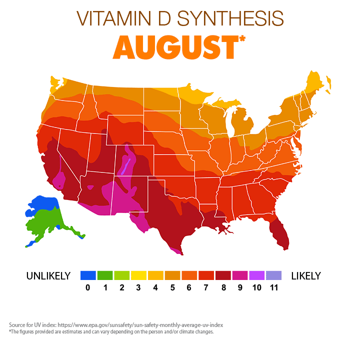Vitamin D synthesis Aug