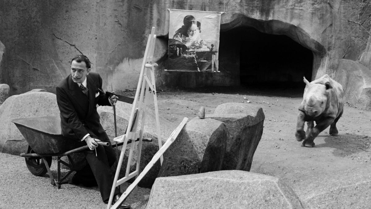 When Salvador Dalí tried to get a rhino to attack a Vermeer painting |  Mashable