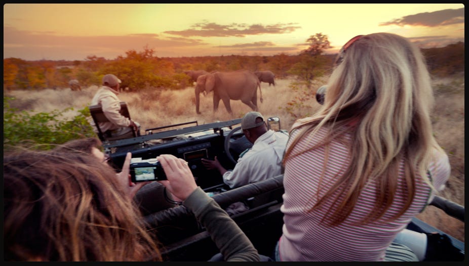 Safari vehicle with tourists photographing a herd of elephants in the African savanna during golden hour.