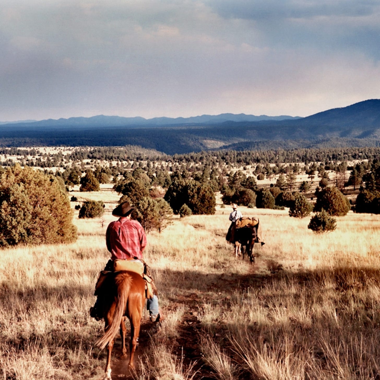Horsepack the Gila Wilderness, New Mexico, Best American Adventures --  National Geographic