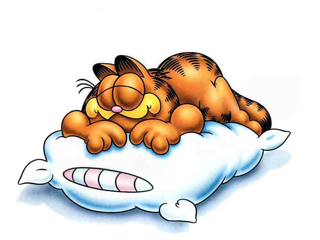 Garfield Sleeping by Babyshowfan on DeviantArt