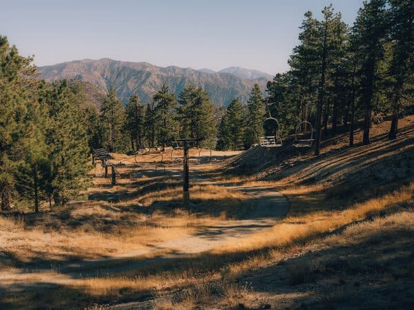 A grassy terrain with a few chairlifts and mountains in the background.