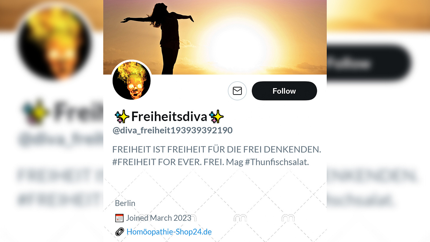 Name: Freiheisdiva. @diva_freiheit19393939392190. Bio: FREIHEIT IST FREIHEIT FÜR DIE FREI DENKENDEN. #FREIHEIT FOR EVER. FREI. Mag #Thunfischsalat. Ort: Berlin. Link: Fake-Internetseite für einen Homöopathie-Shop. Headerbild: Silhouette einer Frau vor einem Sonnenaufgang. Profilbild: Brennender Totenkopf.