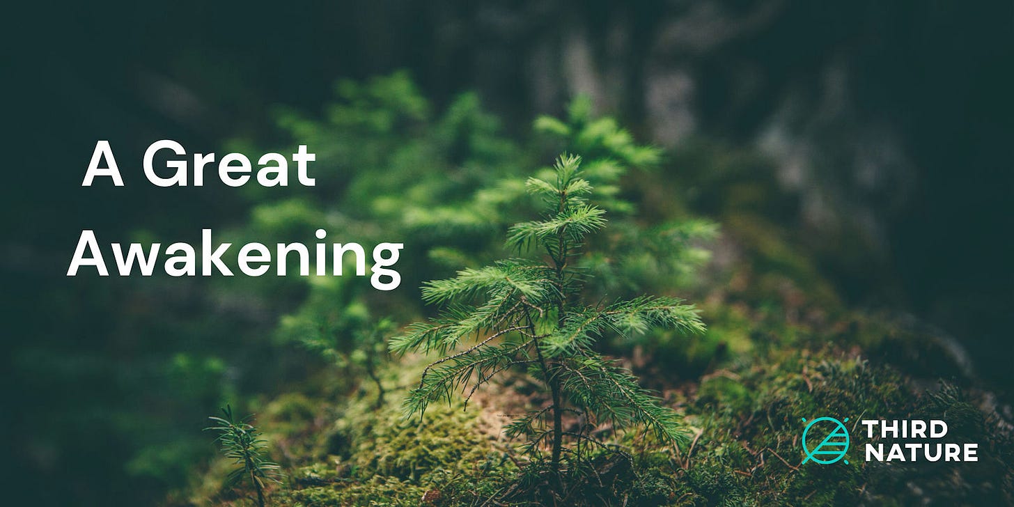 A Great Awakening