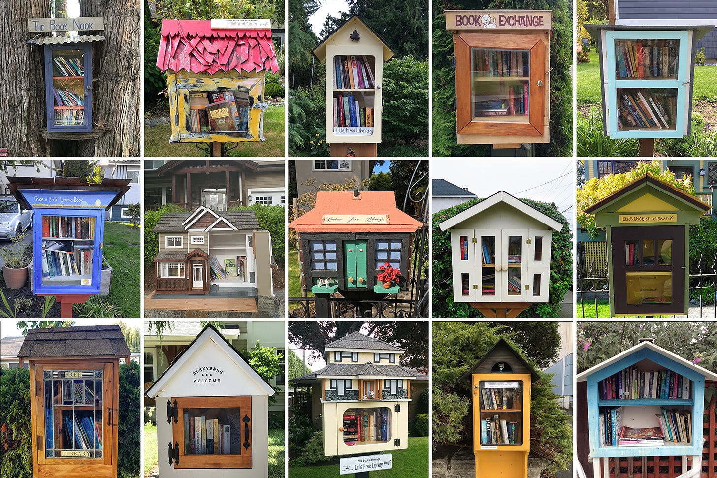 Canada's biggest community of little free libraries has only grown stronger  through COVID-19 - Capital Daily