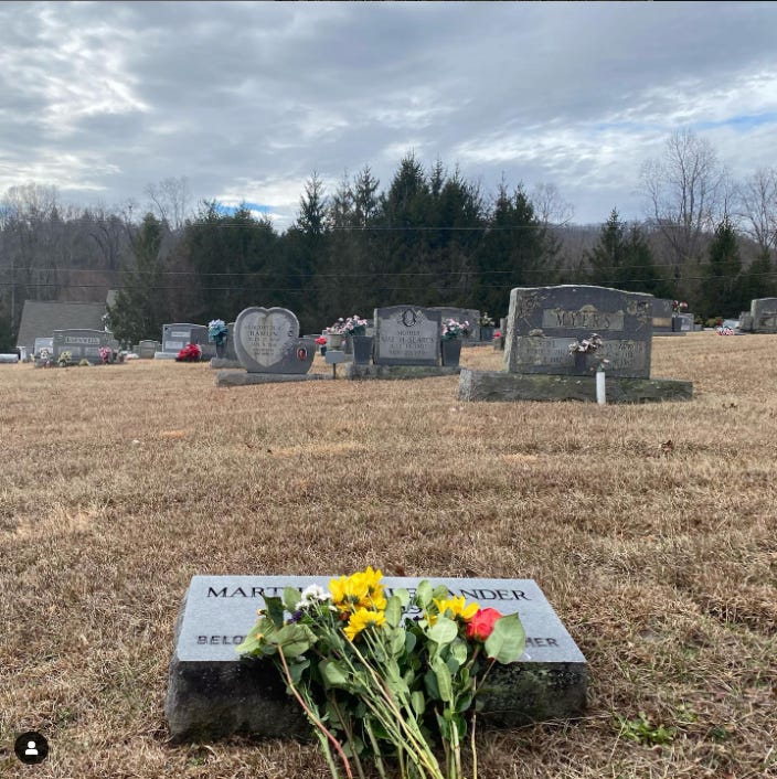 A grave with flowers under a cloudy sky, with trees and mountains in the distance