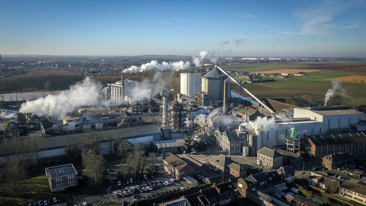 Tereos a investi 24 millions d'euros dans la sucrerie d'Escaudoeuvres | La  Gazette Nord-Pas de Calais
