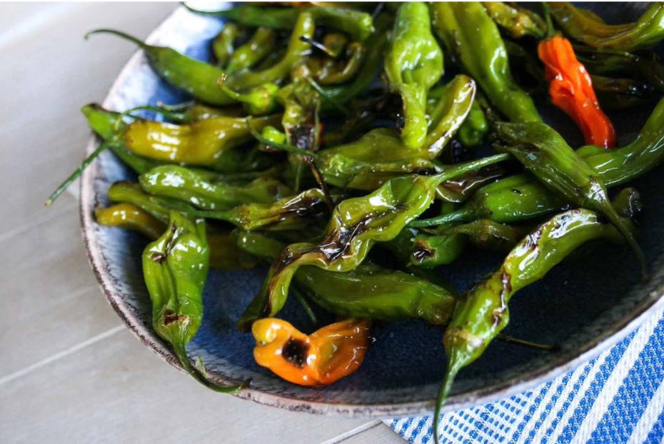 blistered shishito peppers