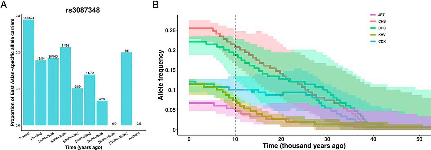 A plot with two panels showing the frequency of the tag SNP in ancient DNA samples (left) and the inferred change in frequency over time (right) A plot with two panels showing the frequency of the tag SNP in ancient DNA samples (left) and the inferred change in frequency over time (right)