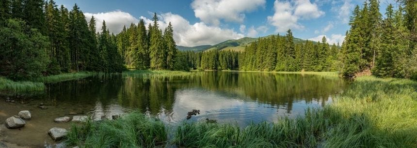 innsjø i skogen i nedre tatra fjell