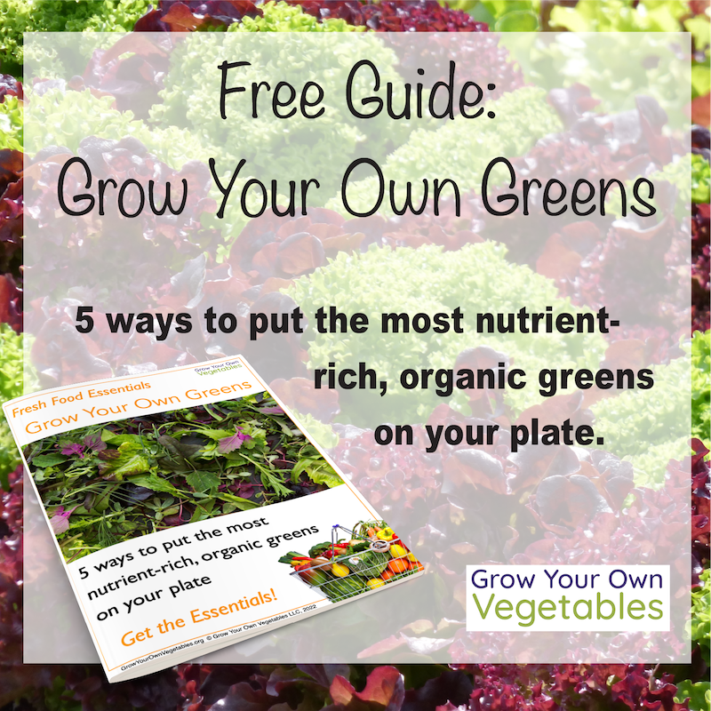 Grow Your Own Greens --today's gift