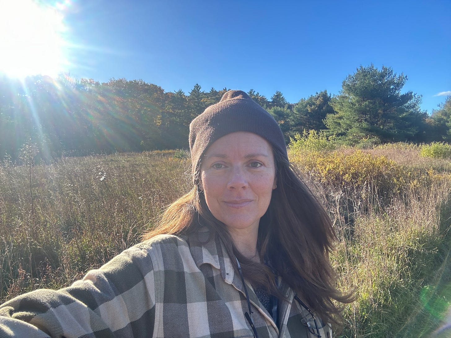 G365, day 291 17th Oct 24 by Anena Hansen