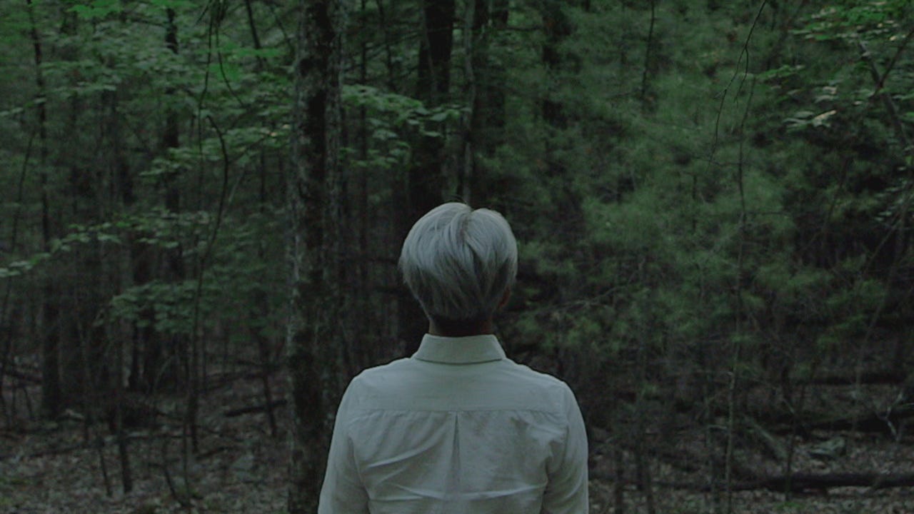 Ryuichi Sakamoto de costas para a câmera e de frente para uma floresta. Ele veste uma camisa social branca.