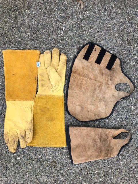 A group of gloves and gloves on the ground

Description automatically generated