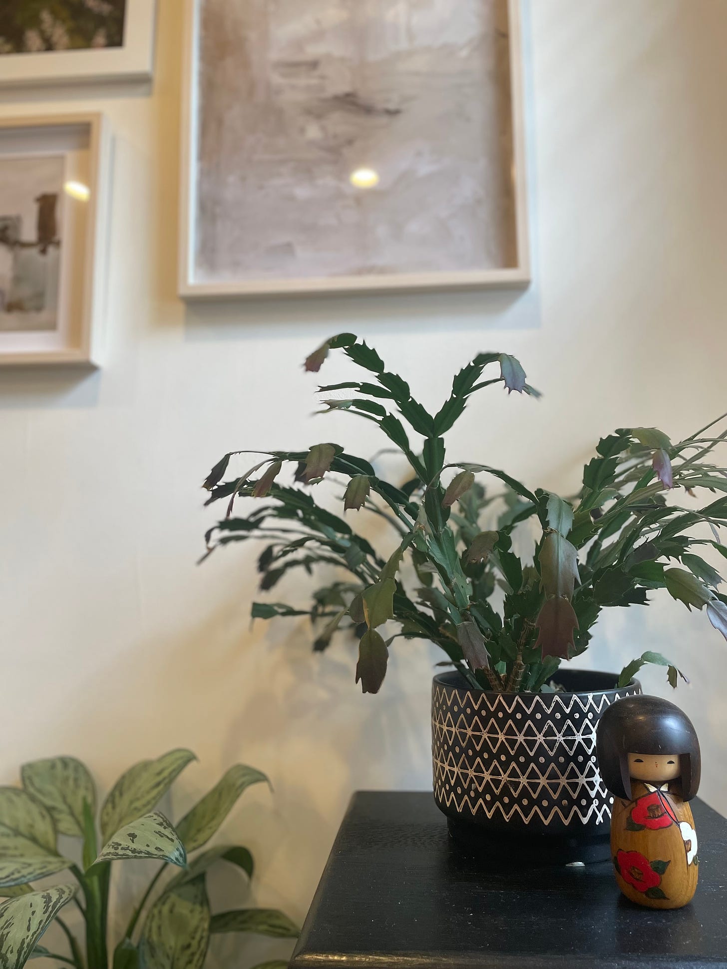 Photo of two green plants and mimi wooden doll