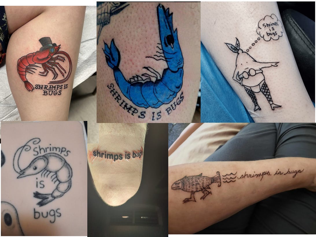 tattoos - shrimps is bugs