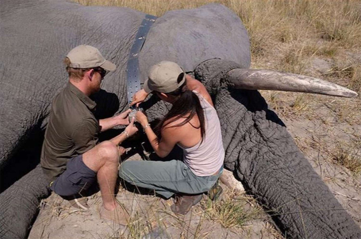 harry and meghan botswana