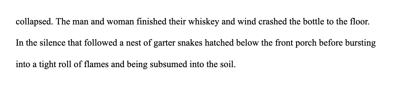 text from Word doc: "collapsed. The man and woman finished their whiskey and wind crashed the bottle to the floor. In the silence that followed a nest of garter snakes hatched below the front porch before bursting into a tight roll of flames and being subsumed into the soil.